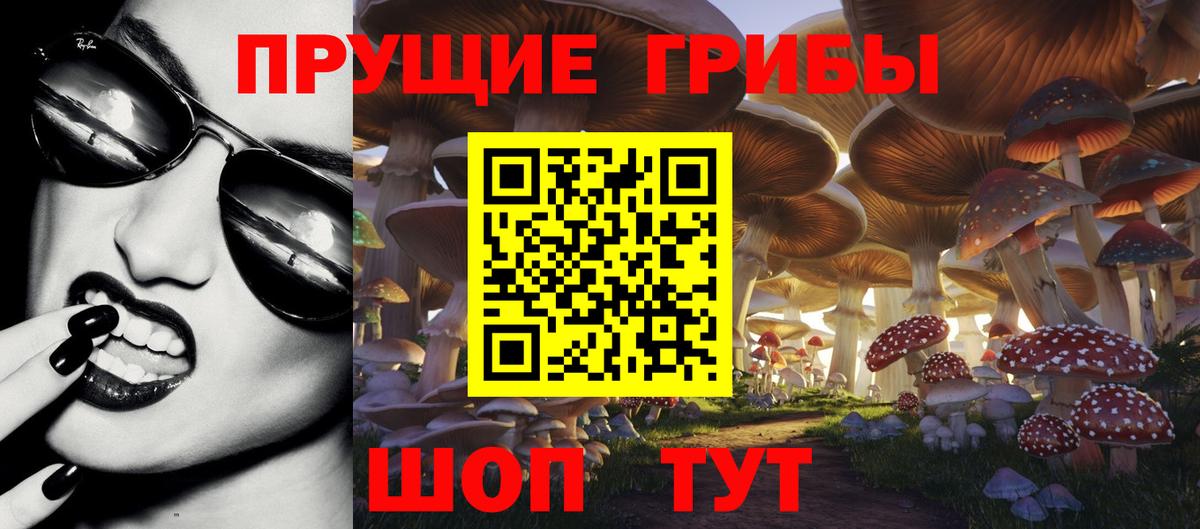 Дивногорск  Галлюциногенные грибы Cubensis  Вход с VPN 
